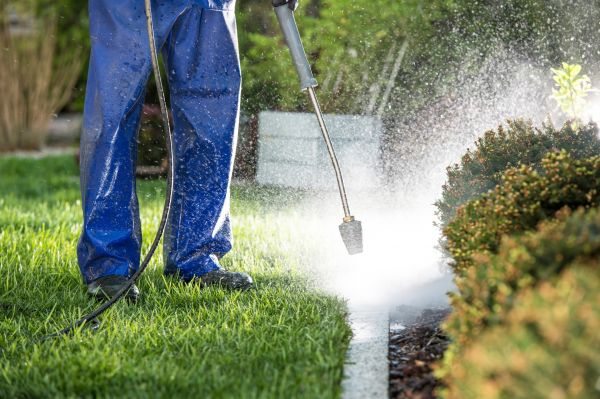Cost of Curb Cleaning in San Luis Obispo